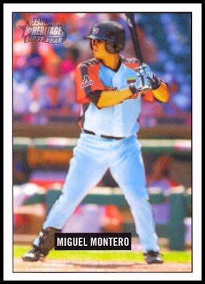 229 Miguel Montero